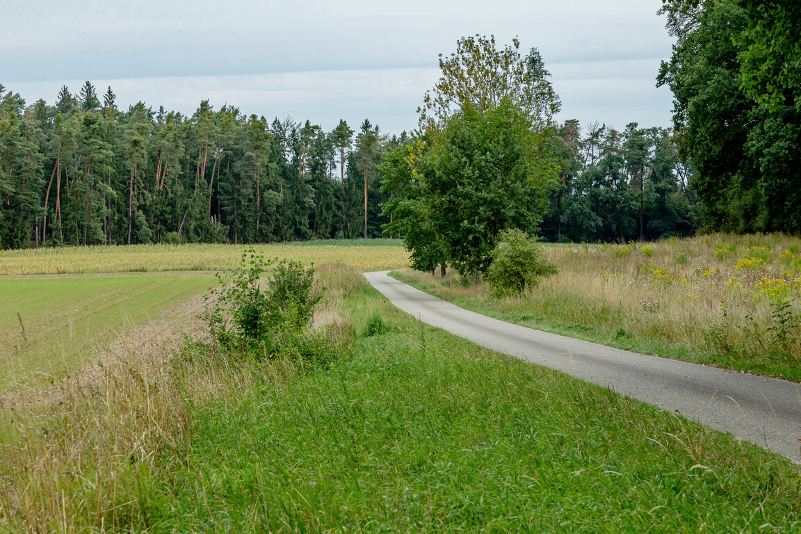 Image: _JA 40715 Natur pur.jpg